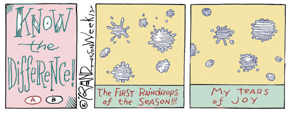Image: Random Shots