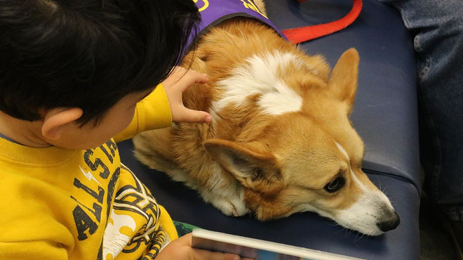 Image: Read to a dog at your local public library