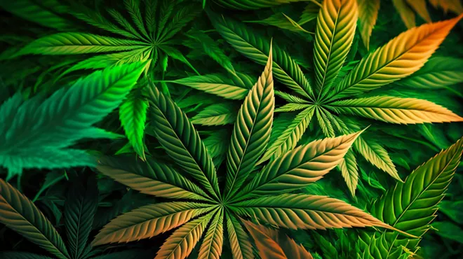 Image: Regulators suggest changing cannabis guidelines