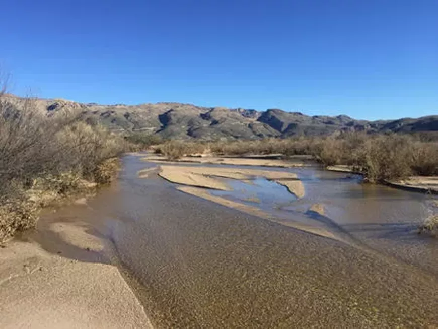 Join WMG&rsquo;s River Restoration Biologist Trevor Hare and Executive Director Lisa Shipek to explore Agua Caliente Canyon. This canyon drains over 40 square miles of the Santa Catalina Mountains, supports riparian forests, mud turtles, and leopard frogs, and is a great example of what a desert stream should look like with floodplain access and braided channels.