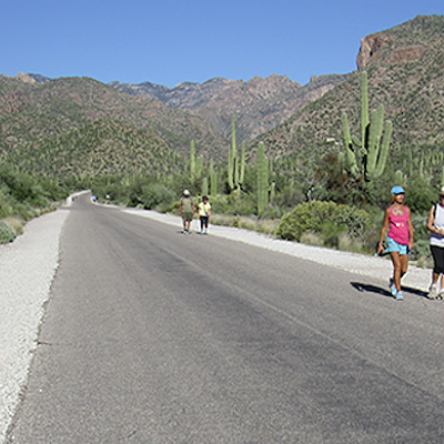Image: Sabino Canyon Re-Opening Today But No Tram or Visitor Center