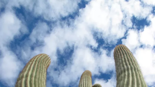 Image: Saguaro Stories