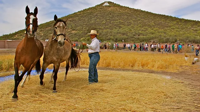 Image: San Ysidro Festival