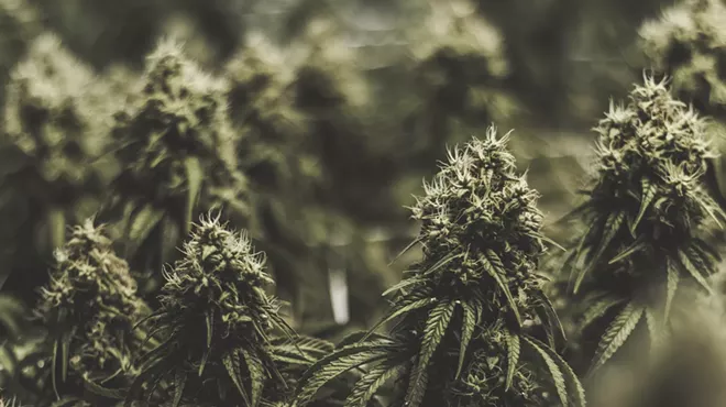 Image: Shades of Green