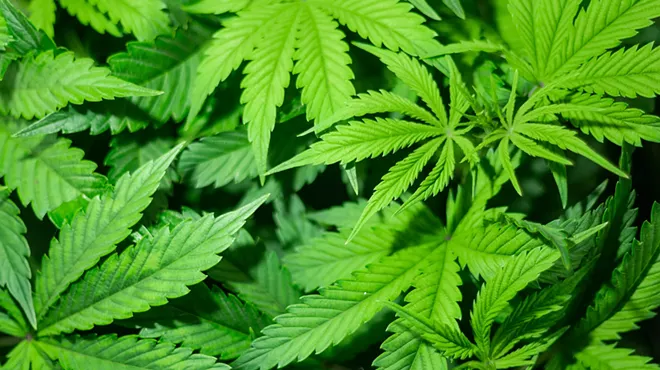 Image: Smoking the Opposition: Az 1 of 5 States to OK Pot Initiatives in 2020