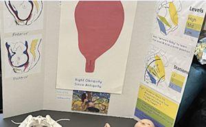 Image: Spinning Babies® Birth Preparation Class