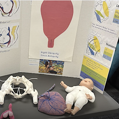 Image: Learning about the inner workings of birth!