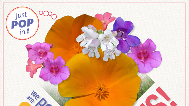 Image: Spring Plant Sale