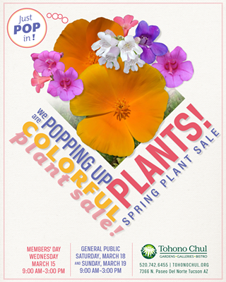 Image: Spring Plant Sale