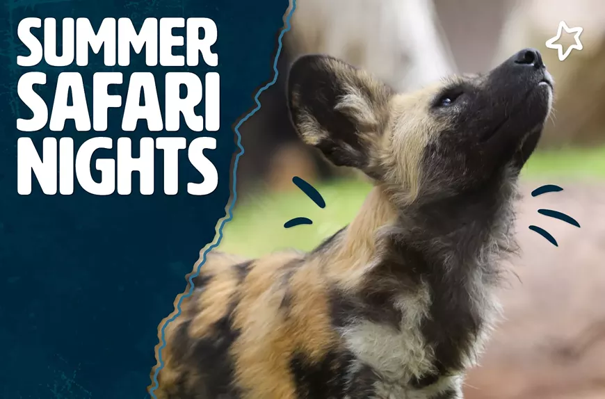 Every Saturday Night, May 27 &mdash; August 12