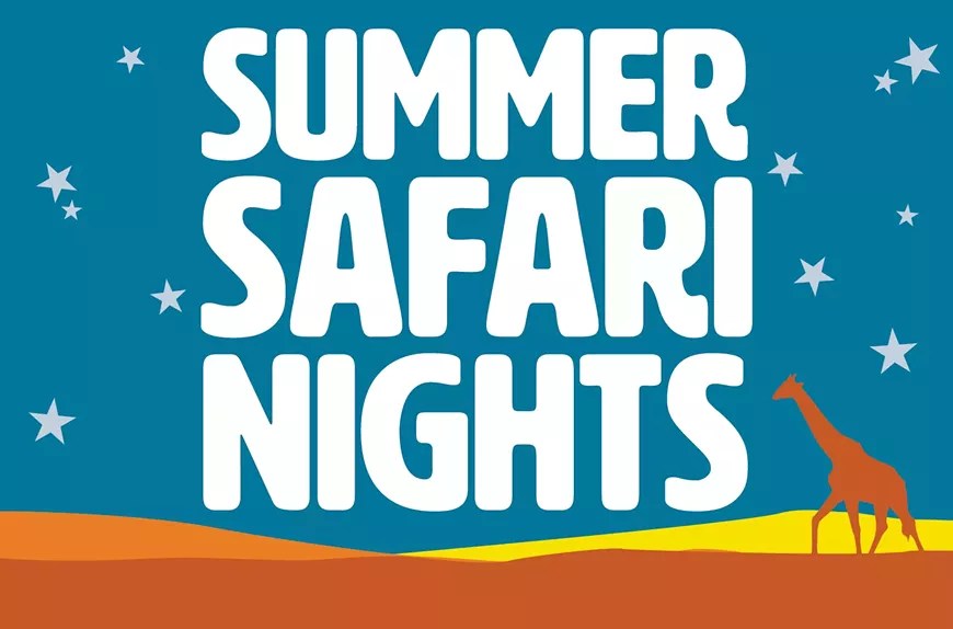 summer_safari_nights_square-3.webp
