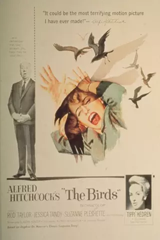 Image: The Birds