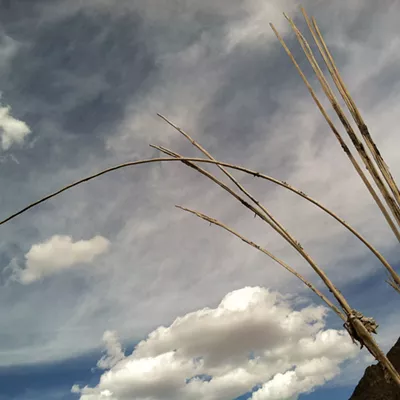 Image: The Daily Saguaro, Monday 6/7/21