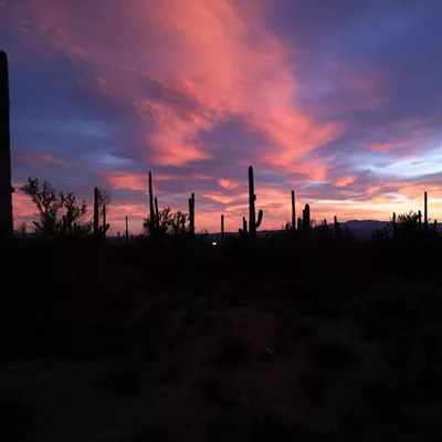 Image: The Daily Saguaro, Saturday 6/12/21