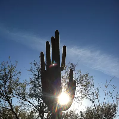 Image: The Daily Saguaro, Sunday, 6/6/21