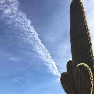 Image: The Daily Saguaro, Thursday 4/15/21