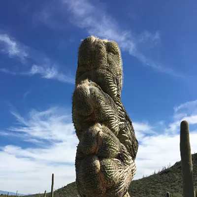 Image: The Daily Saguaro, Thursday 6/3/21