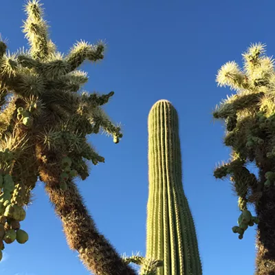 Image: The Daily Saguaro, Tuesday 7/6/21