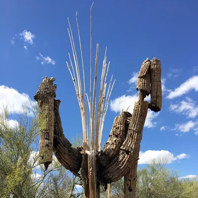 Image: The Daily Saguaro, Wednesday 5/19/21