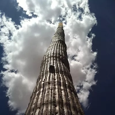 Image: The Daily Saguaro