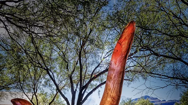 Image: The Exuberance! An Artistic and Botanic Experience