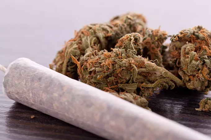 bigstock-close-up-of-dried-marijuana-le-97250273.webp