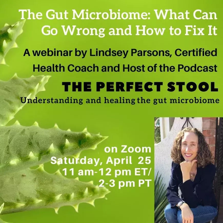 the_gut_microbiome_what_can_go_wrong_and_how_to_fix_it_-_sm.webp