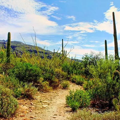 Image: This July and August Were Tucson's Hottest Ever