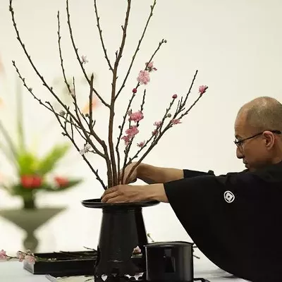 Image: Three Great Things to Do in Tucson Today: Tuesday, Nov. 20