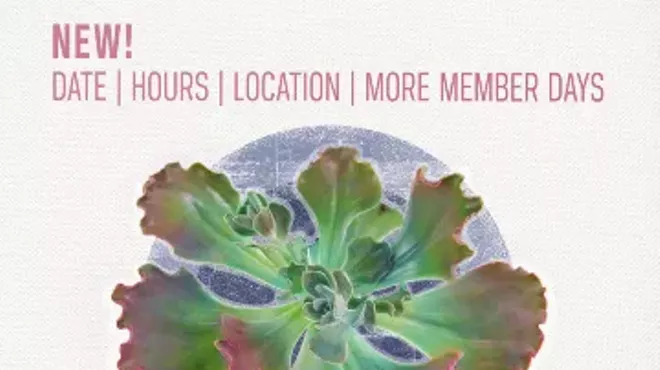 Image: Tohono Chul's Fall Plant Sale