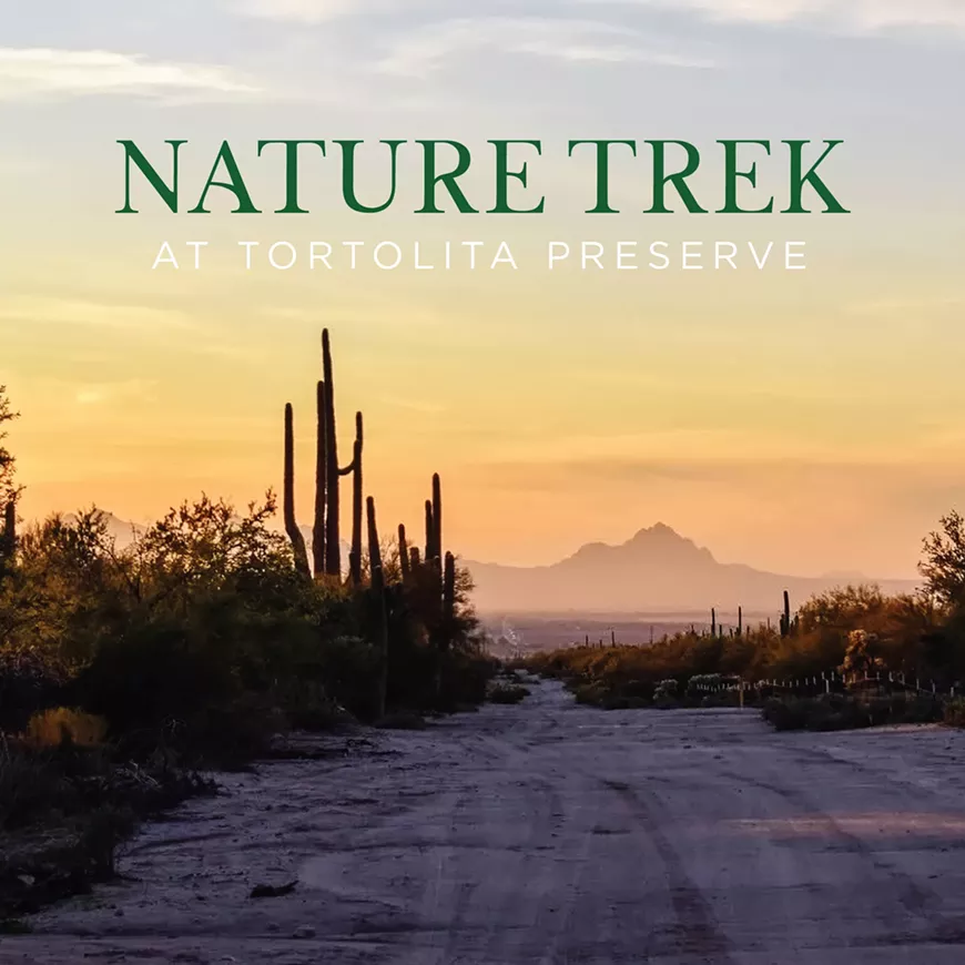 Nature Trek at Tortolita Preserve