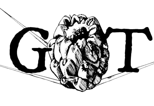 The Three B's of This Weekend's Baja Beer Festival