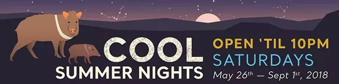 The Weekly List: 23 Things To Do In Tucson This Week (8)