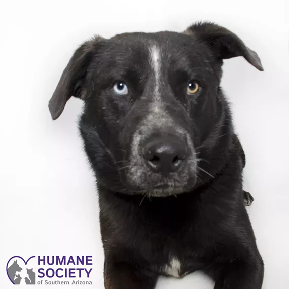 Fjord Needs a Family