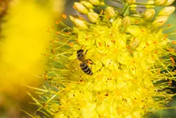 31 Great Things to do in Tucson this Weekend: Friday June 22-Sunday June 24