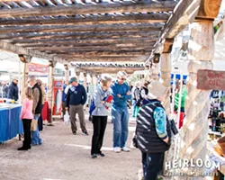 19 Great Things To Do in Tucson This Weekend: Friday-Sunday, July 20-22