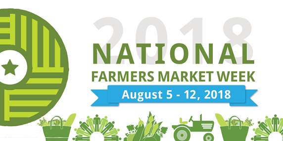 25 Great Things to Do in Tucson This Weekend: August 10-12
