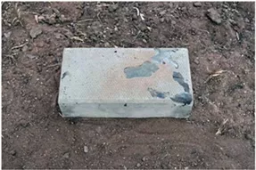 Three Great Things to Do in Tucson Today: Wednesday, August 15