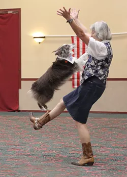 Practice Space Needed for Tucson Musical Canine Freestyle Club