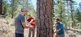 UA Climate Adaptation Science Center receives $4.5M