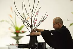 Three Great Things to Do in Tucson Today: Tuesday, Nov. 20