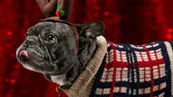 Three Great Things to Do in Tucson Today: Monday, Dec. 10