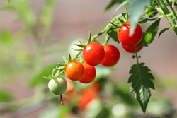 Three Great Things to Do in Tucson Today: Wednesday, Jan. 9