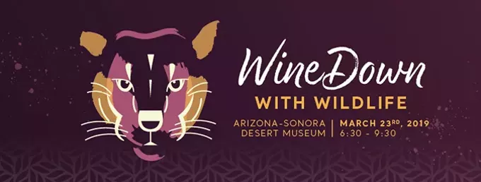 19 Great Things to Do in Tucson This Weekend: March 22 to 24