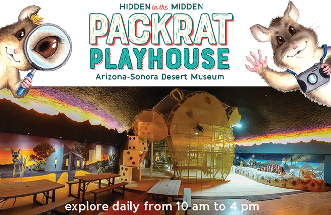 Four Great Things to Do in Tucson Today: Thursday, April 4