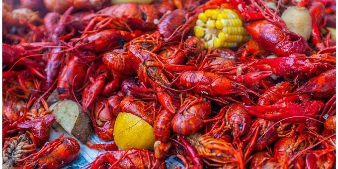 26 Great Things to Do in Tucson This Weekend: April 5 to 7