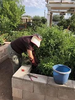 Three Great Things to Do in Tucson Today: Thursday, April 11