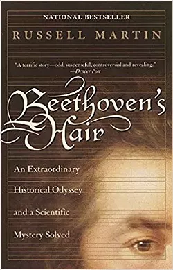 What ABOUT Beethoven's hair?