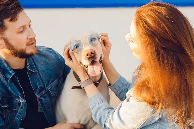 Millennials are Killing the Baby Industry By Having Pets