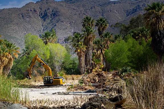 Agua Caliente Park closing for restoration Aug. 19